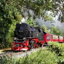 Mit Harzkamel, Harzbullen und Ballerina durch den Harz